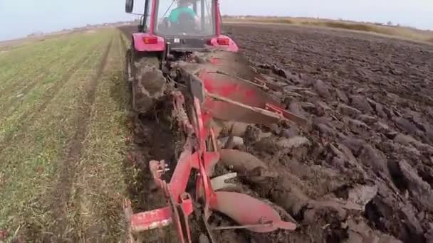 Vista Trasera Del Tractor Rojo Conduciendo Campo Verde Durante Cultivo — Vídeos de Stock