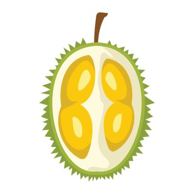 Durian tasarım sulu taze meyve simge vektör şablonu. Ham durian.