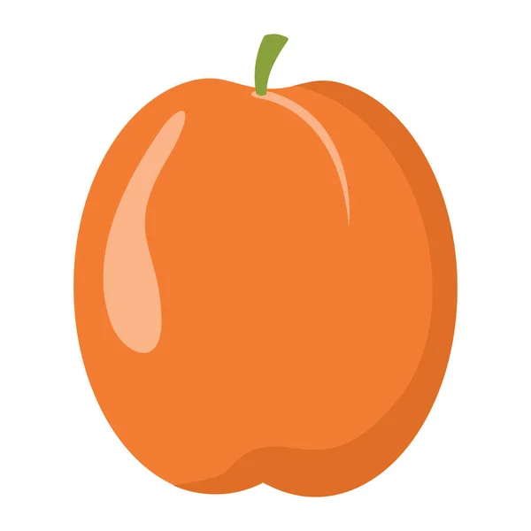 杏设计多汁新鲜水果图标矢量模板。原料杏 — 图库矢量图片