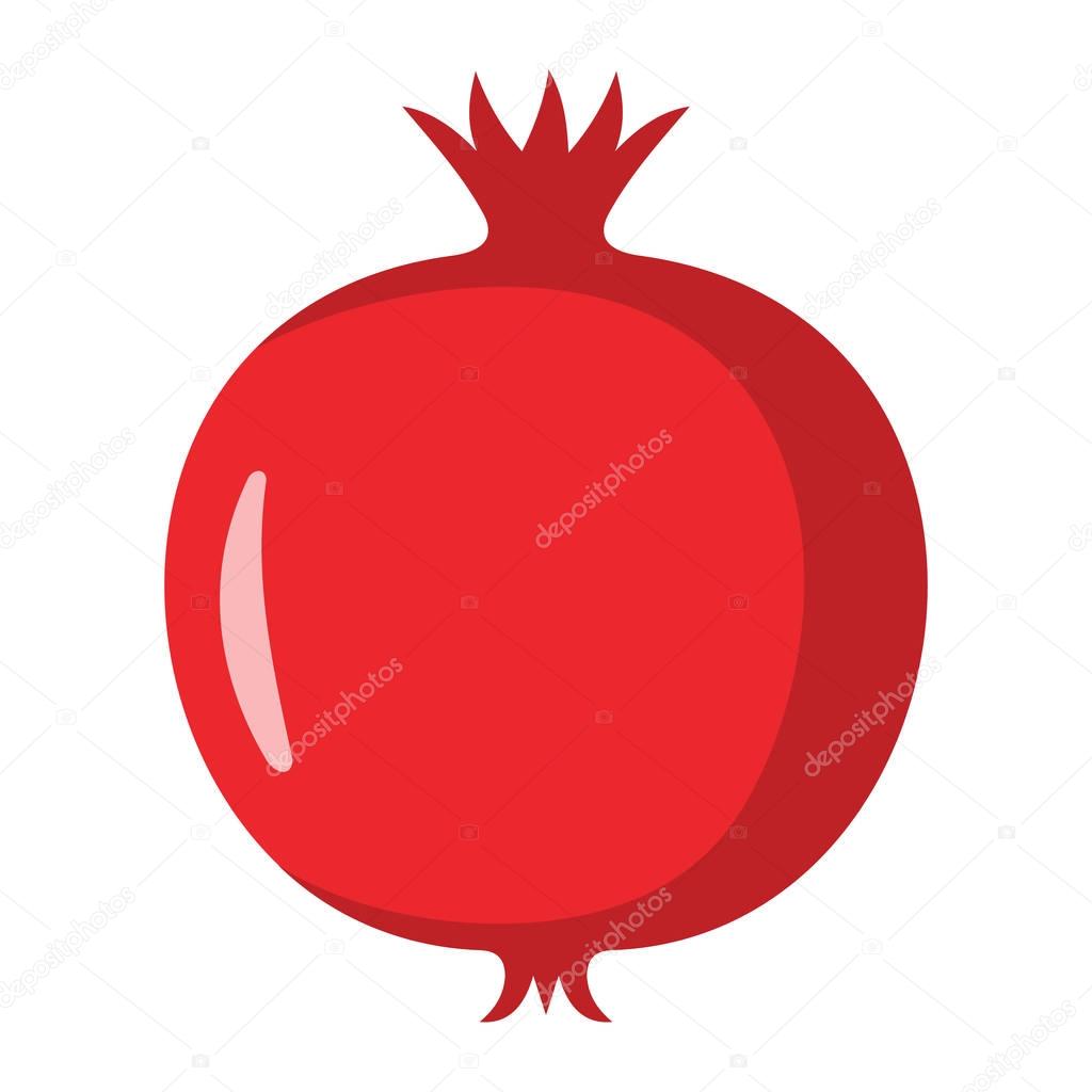 Pomegranate design juicy fresh fruit icon vector template. Raw pomegranate