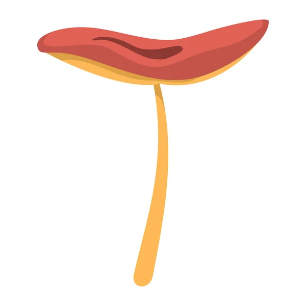Fungo con cappello rosso su sfondo bianco elemento per la progettazione di funghi — Vettoriale Stock