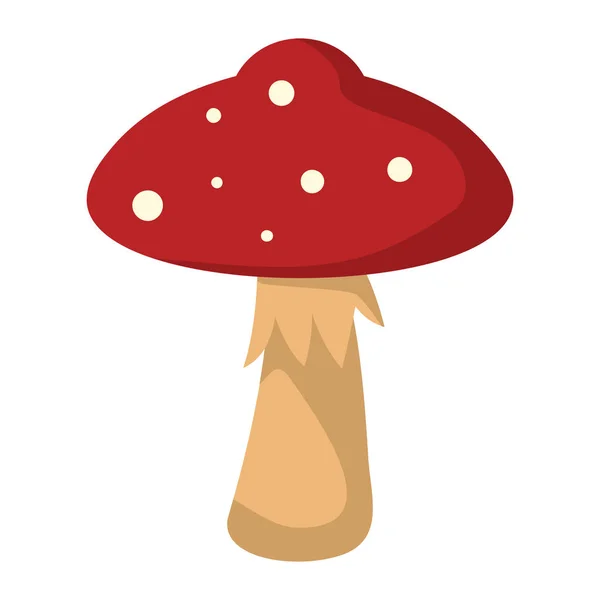Paddestoel Amanita met rode hoed op witte achtergrond element voor paddenstoel ontwerp — Stockvector