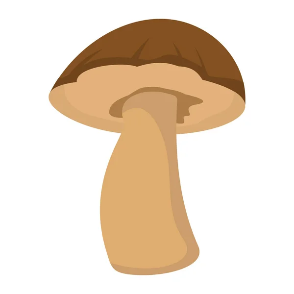 Fungo con cappello marrone su sfondo bianco elemento per la progettazione di funghi — Vettoriale Stock