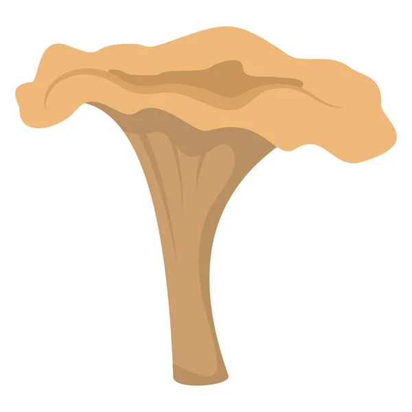 Cogumelo Chanterelle no elemento de fundo branco para design de cogumelos — Vetor de Stock