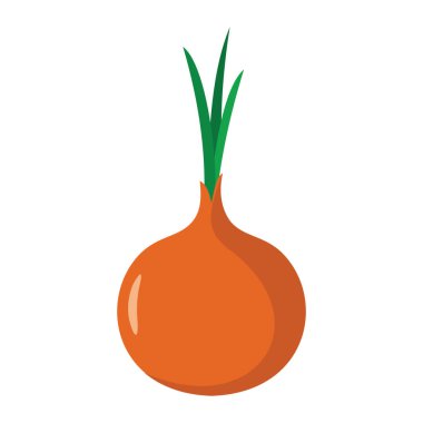 Çiftlik vektör çizim karikatür düz stil yalıtılmış nesne sebze organik Eko bio ürün simgesinde soğan