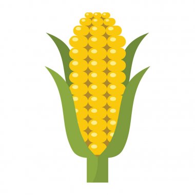 Mısır kutsal kişilerin resmi içinde çiftlik vektör çizim karikatür düz stil yalıtılmış nesne sebze organik Eko bio ürün