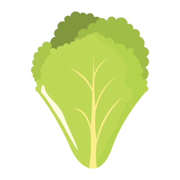 Icono de hoja de ensalada en estilo plano de dibujos animados objeto aislado vegetal ecológico bio producto de la granja vector ilustración — Archivo Imágenes Vectoriales