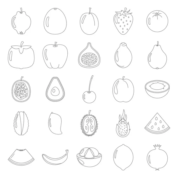 Conjunto de línea delgada negra de la colección de iconos de fruta. Elementos de la fruta eco bio diseño de alimentos — Vector de stock