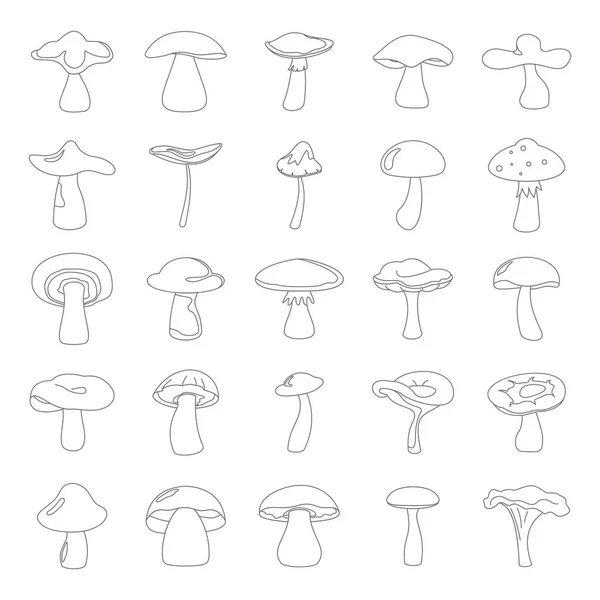 Ilustracja wektorowa grzyby kreskówka zestaw w stylu cienkich linii. Inny projekt naturalne wszelkiego rodzaju elementy grzyby — Wektor stockowy