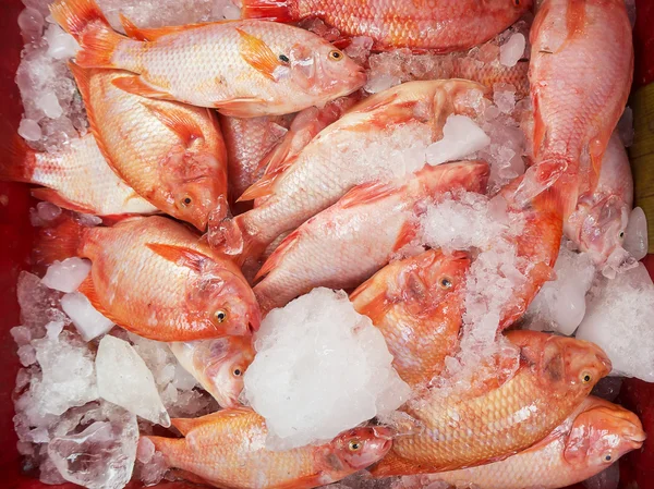 Fresh fish at the market,Thailand — Stock Photo, Image