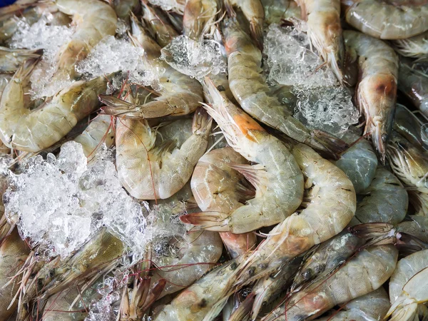 Closeup Fresh shrimp at the market,Thailand — Stock Photo, Image