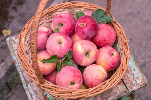 Cesta de manzanas maduras — Foto de Stock