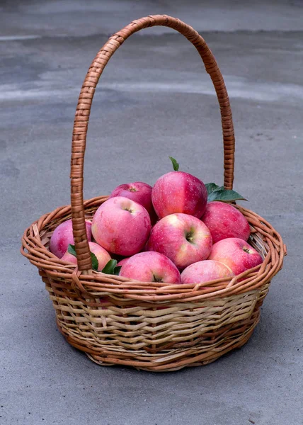 Cesta de manzanas maduras — Foto de Stock