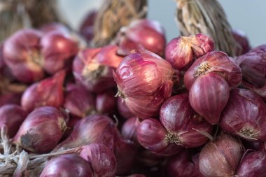 Arpacık yığını.