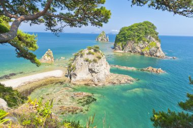 Rus Primorye Uzakdoğu Marine Reserve 