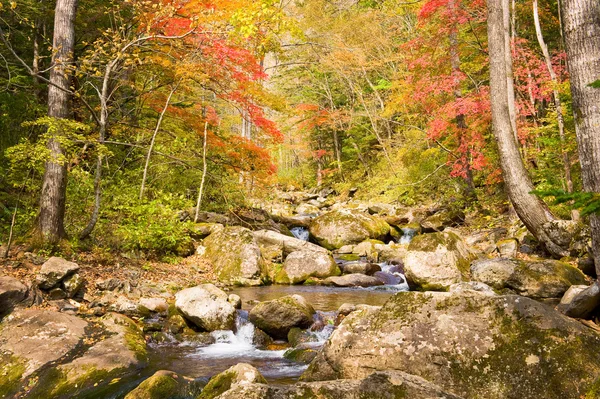 Fall wald wasserfall bach elomovsky — Stockfoto