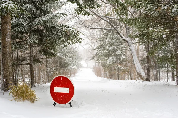 Stoppschild auf winterlicher Waldstraße — Stockfoto