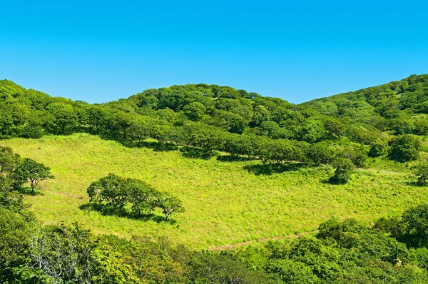 Grüne Hügellandschaft der Insel Putjatin — Stockfoto