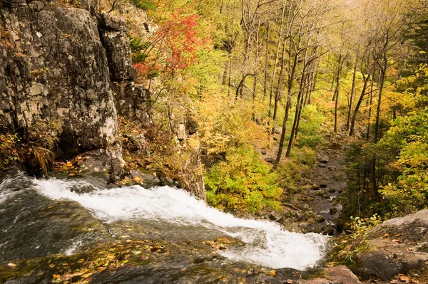 Val woud waterval stream Elomovsky — Stockfoto