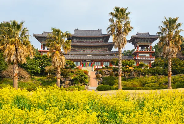 Fiori di stupro al famoso Tempio Buddista di Yakcheonsa — Foto Stock