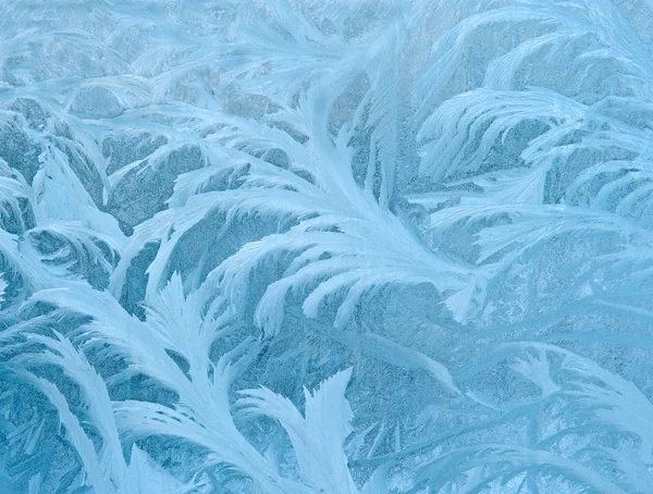 Décoration d'hiver de glace bleue fractale Photos De Stock Libres De Droits