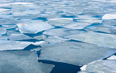 En son bahar buz parçası 
