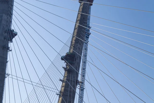 guy of big  bridge in the Russian Vladivostok