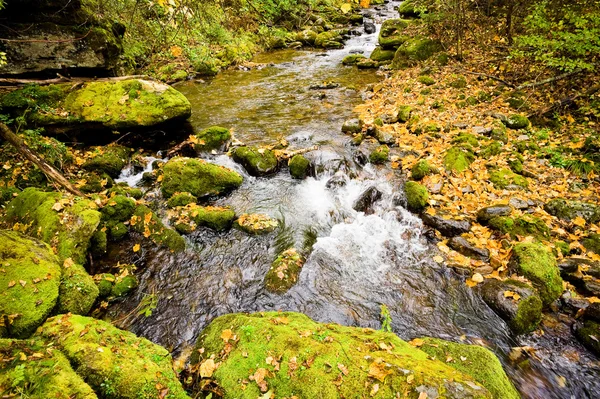 Herfst bos stream Elomovsky — Stockfoto