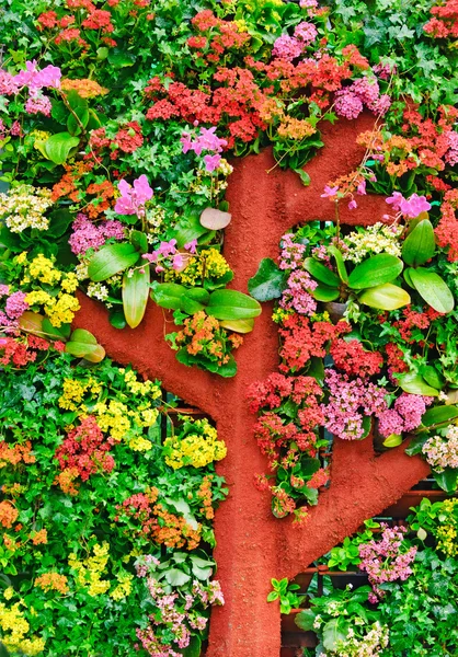 Cama de flores en Seúl Grand Park — Foto de Stock