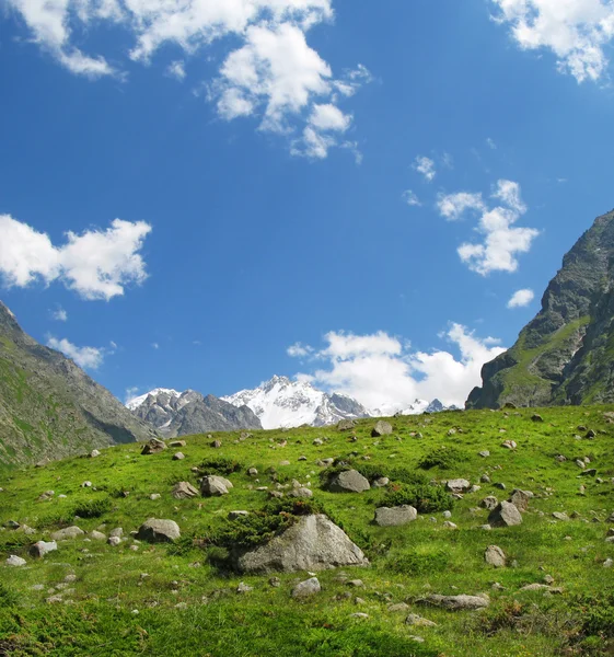 Bezenghi-fjellene i Kaukasus – stockfoto