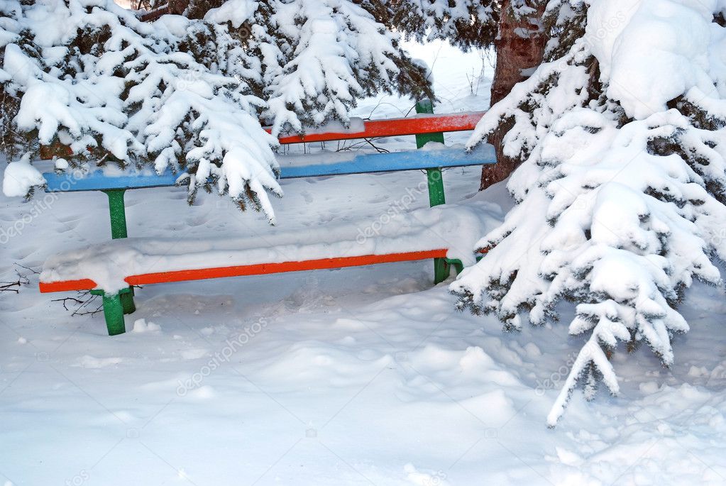 bench under snowy fir tree 
