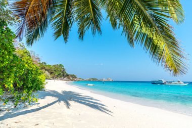 Beach of Similan Koh Miang Island in national park, Thailand  clipart