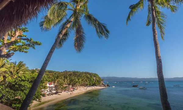 Naturalne Podłoże Boracay Island Palmy Kokosowe Drzewo Odchodzi Błękitne Niebo — Zdjęcie stockowe