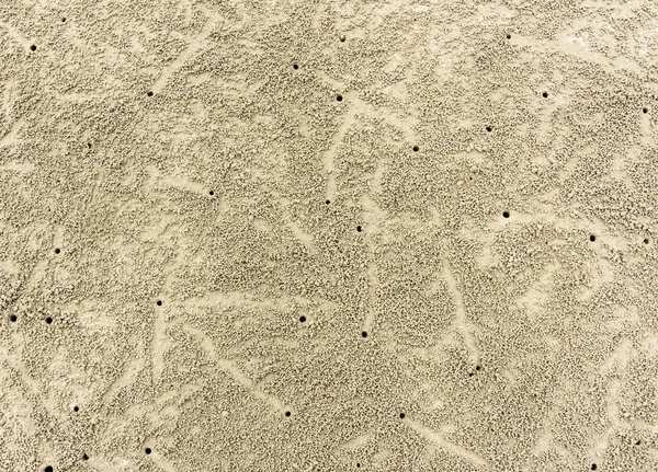 Fondo de playa de arena con rastros de cangrejo. Textura de arena detallada . — Foto de Stock