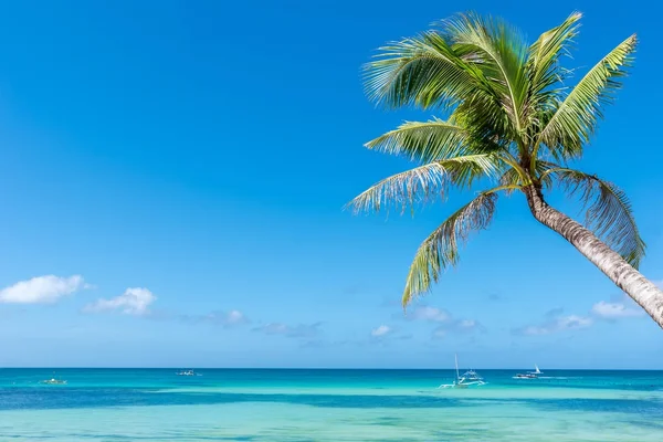 热带海滩背景从长滩岛与椰子棕榈 — 图库照片
