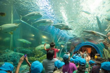 Rayong, Tayland - 20 Mart 2016: Turist su tünel akvaryum Rayong, Tayland