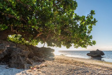 Sunrise görünümü Anda beyaz Long Beach, Bohol Phi Adası