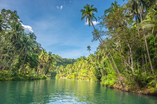 View of jungle green river Loboc at Bohol island of Philippines