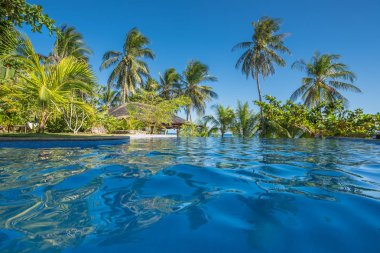 Boracay Adası Hindistan cevizi avuç içi ağaç yaprakları, mavi gökyüzü ve beyaz plaj ile doğal kökenli 