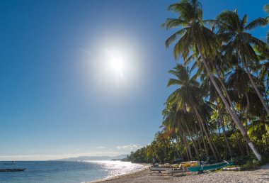 Boracay Adası Hindistan cevizi avuç içi ağaç yaprakları, mavi gökyüzü ve beyaz plaj ile doğal kökenli 