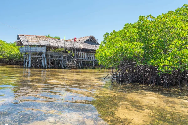 Maison Traditionnelle Dans Forêt Mangroves Île Lamanok Anda Bohol Île — Photo