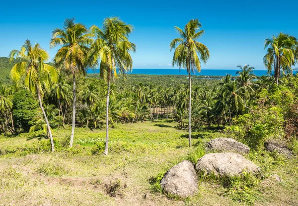 Vista dell'isola di Bohol Filippine — Foto Stock