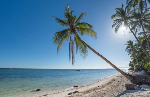 ココヤシの木の木葉 青い空と白いビーチでボラカイ島から自然な背景 — ストック写真