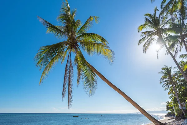 Тропічний пляж фон з Анда Бохол beach острова з Коко — стокове фото