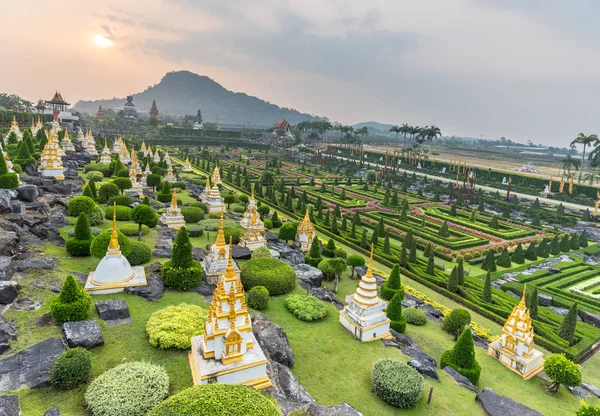 프랑스 정원의 농 Nooch 열 대 식물 Gardenat 일출 — 스톡 사진