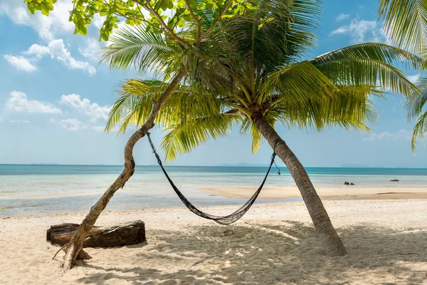 苏梅岛岛 Thaila 海滩度假村的吊床和棕榈树 — 图库照片