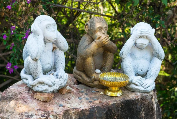 Drei Affen mit unterschiedlichen Gesichtern - kein Sprechen, kein Sehen, kein Hören — Stockfoto