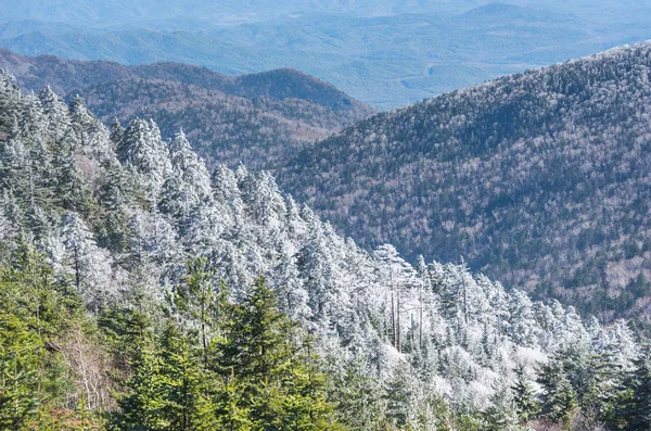 Herfst Bos Falaza Berg Met Bevroren Bomen Russische Primorje — Stockfoto