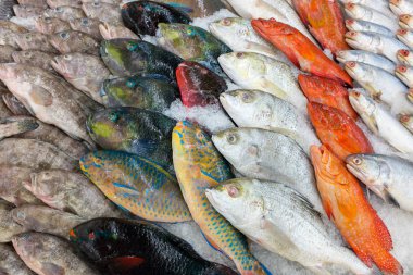 various fishes at the thailand fish market of samui island clipart