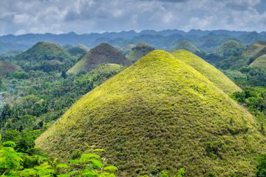 Çikolata Hills Bohol Adası Filipinler ünlü dönüm noktası